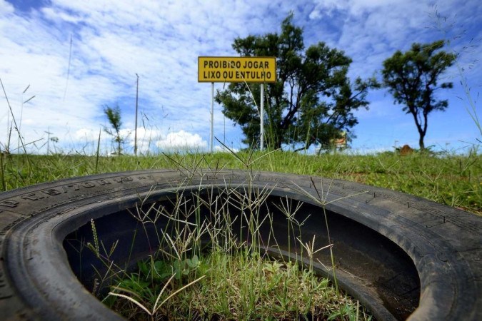 Dengue: DF supera a marca de 100 mortes apenas em 2024