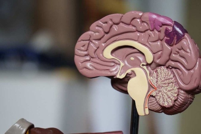 Pesquisa identifica possível causador do Alzheimer e muda rumo das pesquisas